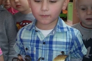 Urodziny