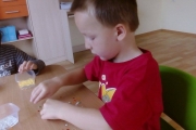 Zajęcia